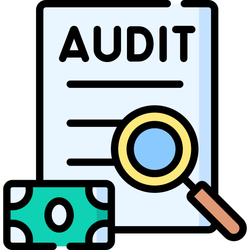 Business Audit